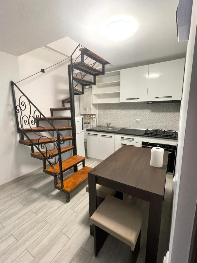 Casa Dan Apartment Buzău Exterior foto